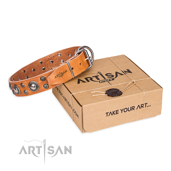 Stylish design genuine leather dog collar for walking in style