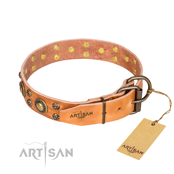 Everyday use full grain natural leather collar with embellishments for your four-legged friend