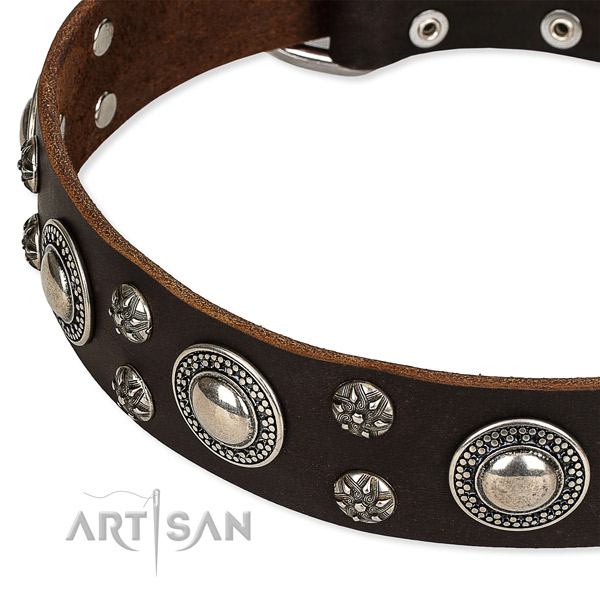 Easy to adjust leather dog collar with almost unbreakable rust-proof set of hardware