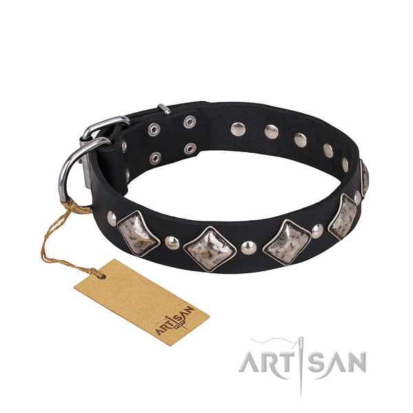 Long-lasting leather dog collar with corrosion-resistant details