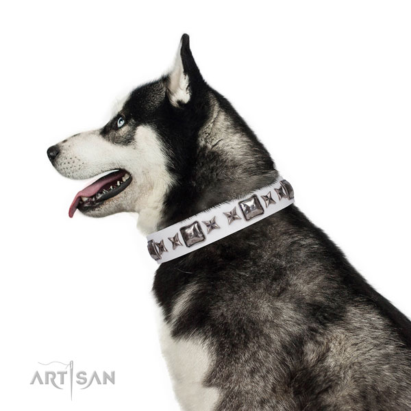 Incredible embellished leather dog collar for comfy wearing
