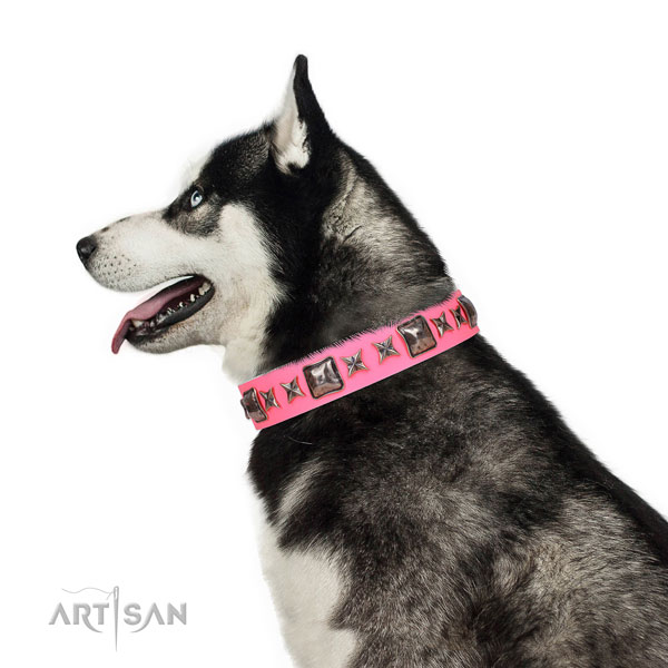 Exquisite adorned leather dog collar for walking