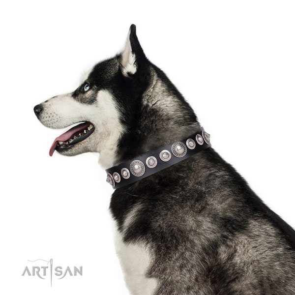Stylish design adorned genuine leather dog collar for walking