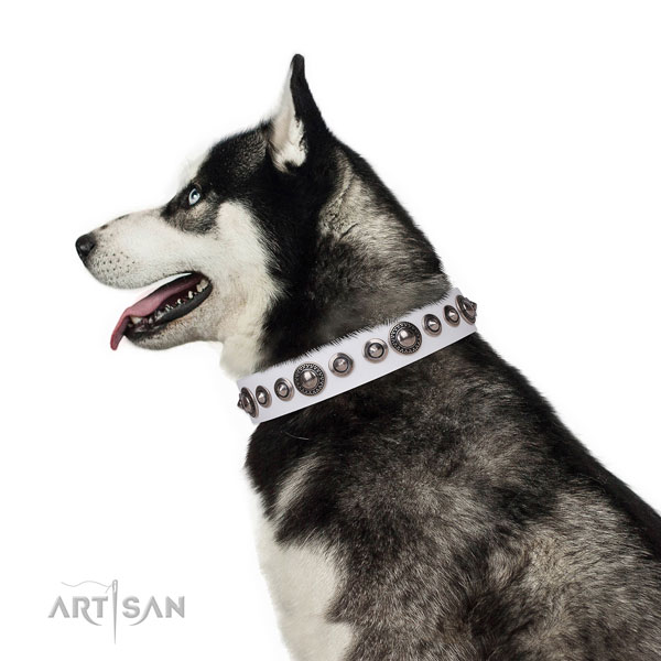 Trendy adorned genuine leather dog collar for easy wearing