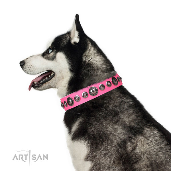 Unique embellished genuine leather dog collar for everyday use