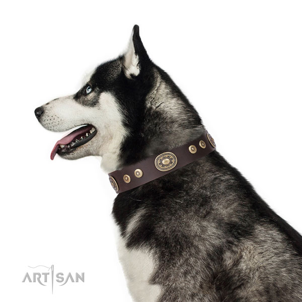 Remarkable embellished natural leather dog collar for comfortable wearing