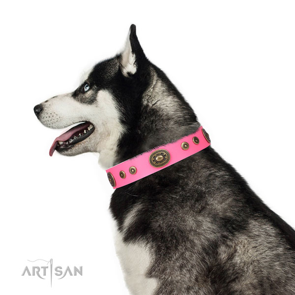 Unique decorated genuine leather dog collar for daily walking