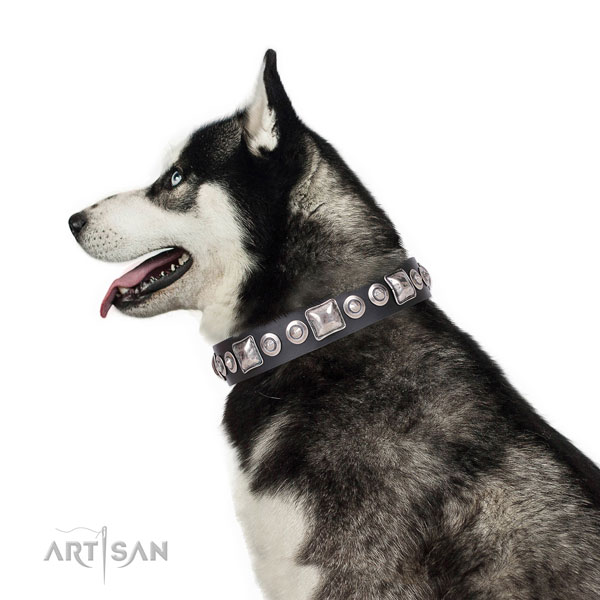 Top notch embellished leather dog collar for everyday walking