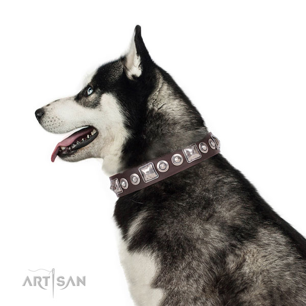 Impressive embellished natural leather dog collar for everyday use