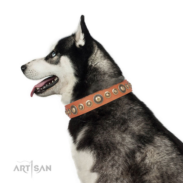 Corrosion proof buckle and D-ring on genuine leather dog collar for stylish walks