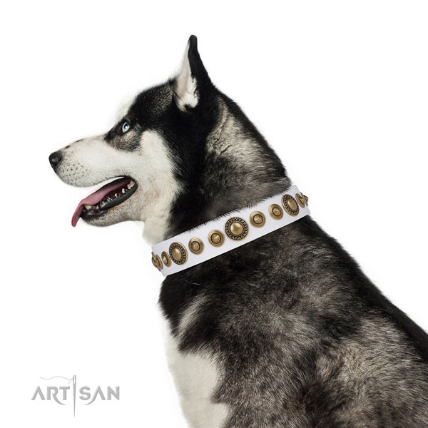 Corrosion resistant buckle and D-ring on leather dog collar for stylish walking