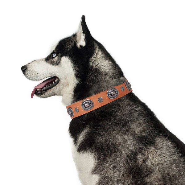 Genuine leather dog collar with durable buckle and D-ring for easy wearing