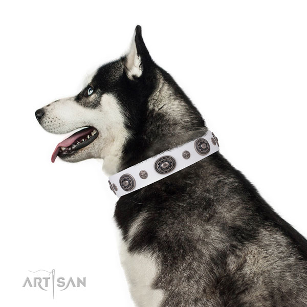 Genuine leather dog collar with corrosion proof buckle and D-ring for everyday walking