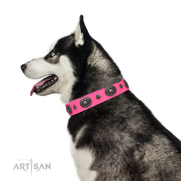 Full grain leather dog collar with strong buckle and D-ring for daily use