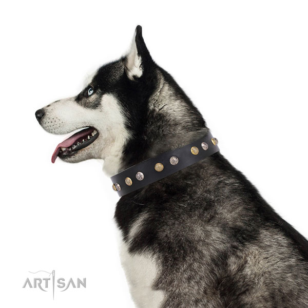 Genuine leather dog collar with reliable buckle and D-ring for comfy wearing