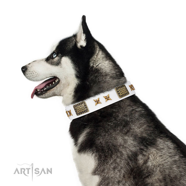 Exceptional studs on easy wearing full grain genuine leather dog collar