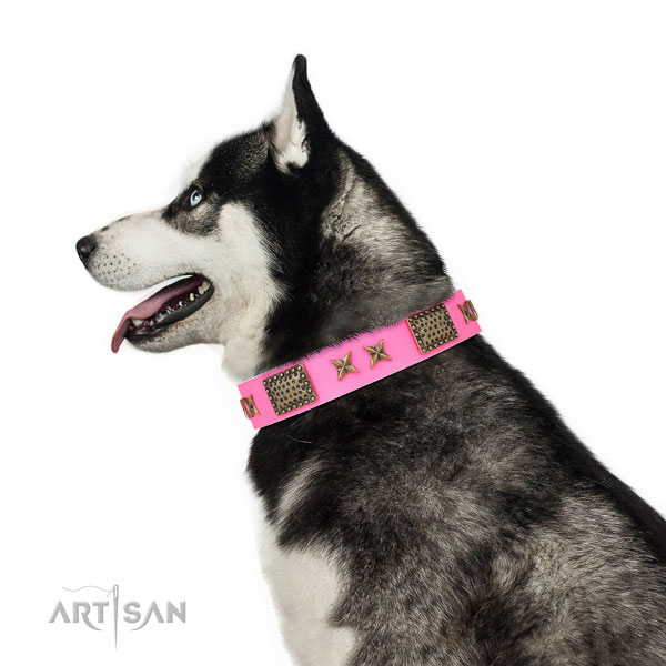 Fashionable embellishments on handy use leather dog collar