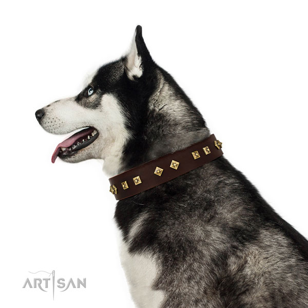 Amazing decorations on easy wearing genuine leather dog collar
