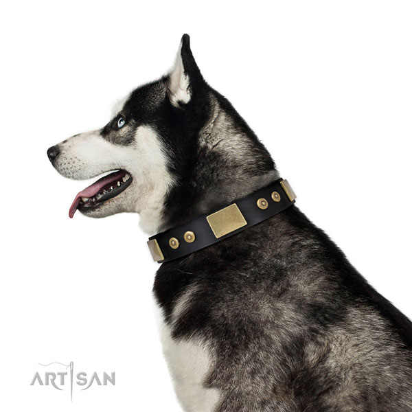 Strong daily use dog collar of natural leather