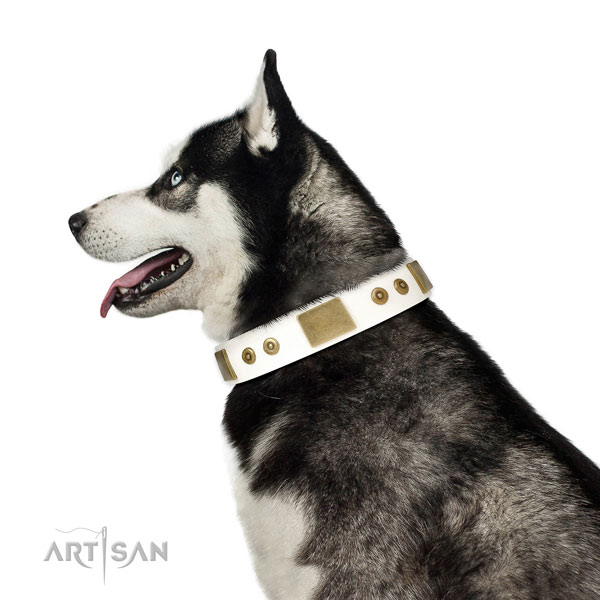 High quality comfy wearing dog collar of genuine leather