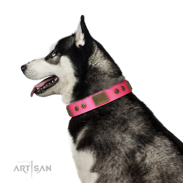 Designer genuine leather collar for your attractive canine