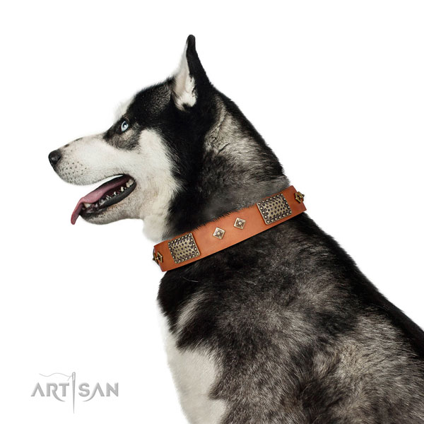 Comfortable wearing dog collar of genuine leather with inimitable decorations