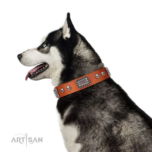 Impressive full grain genuine leather collar for your lovely canine