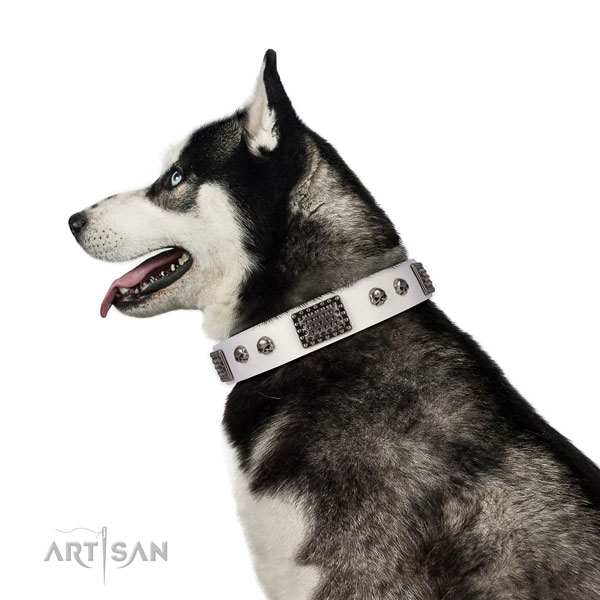 Embellished full grain natural leather collar for your beautiful four-legged friend