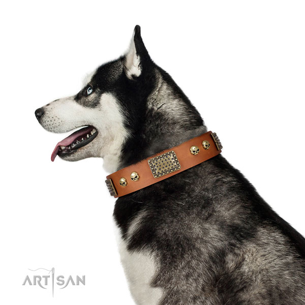 Rust-proof D-ring on full grain leather dog collar for everyday walking