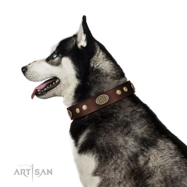 Durable traditional buckle on full grain leather dog collar for walking