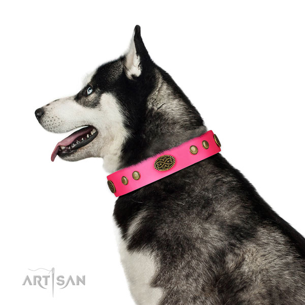 Corrosion resistant hardware on leather dog collar for everyday walking
