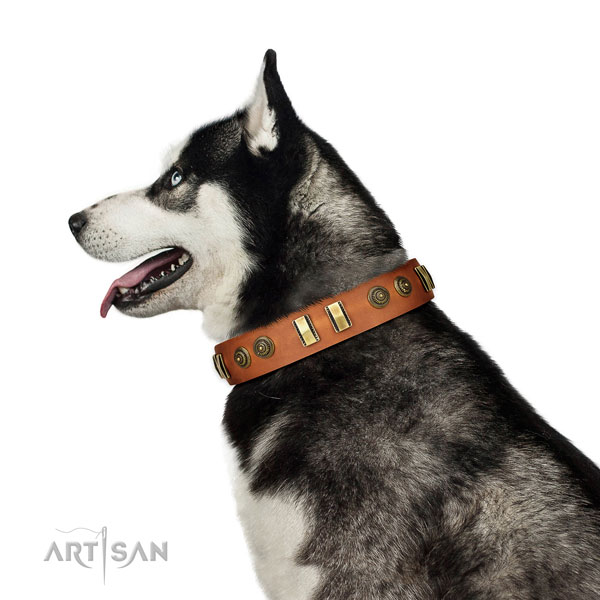 Durable hardware on full grain natural leather dog collar for daily walking
