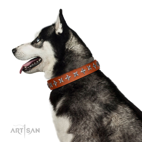 Top quality full grain natural leather dog collar with amazing adornments