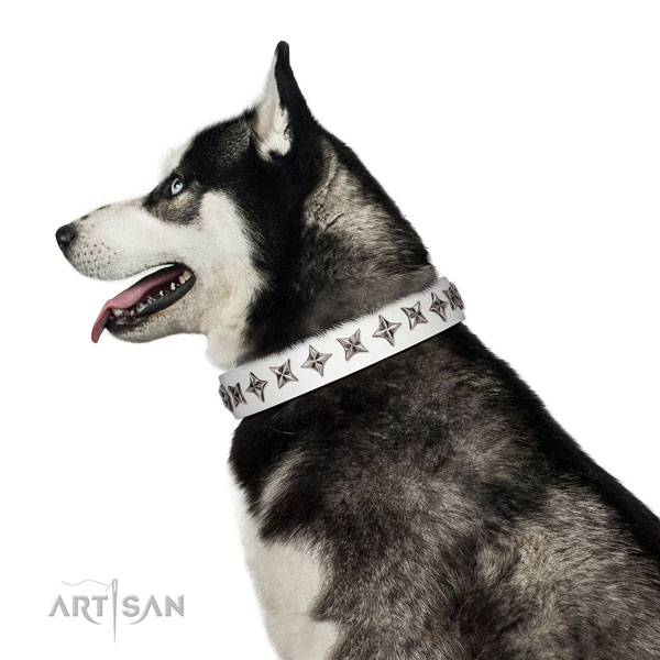 High quality full grain natural leather dog collar with incredible studs