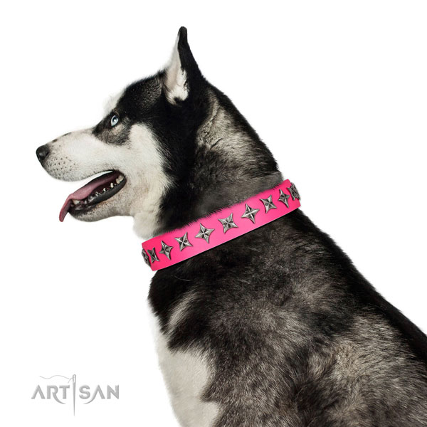 Durable full grain natural leather dog collar with inimitable decorations