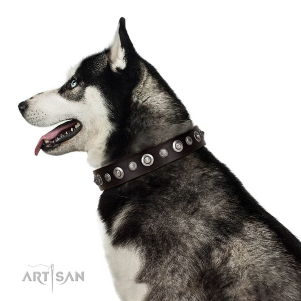 Reliable full grain natural leather dog collar with remarkable embellishments