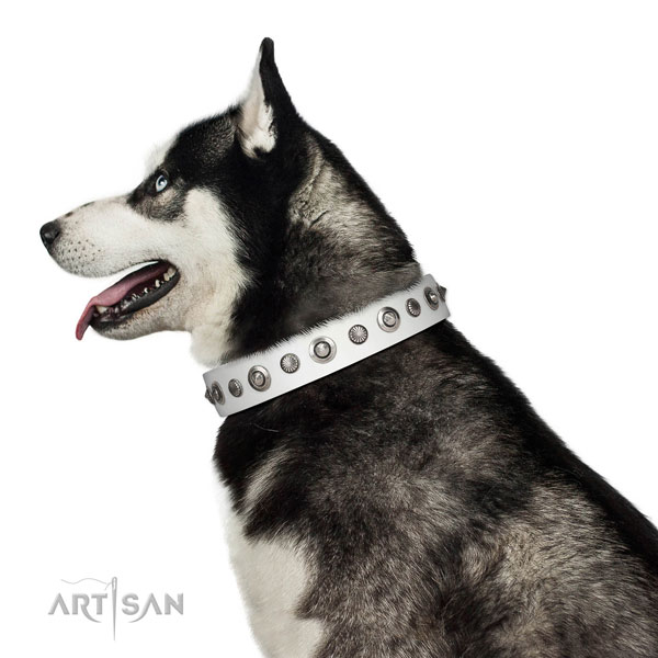 Full grain natural leather collar with corrosion resistant D-ring for your beautiful dog