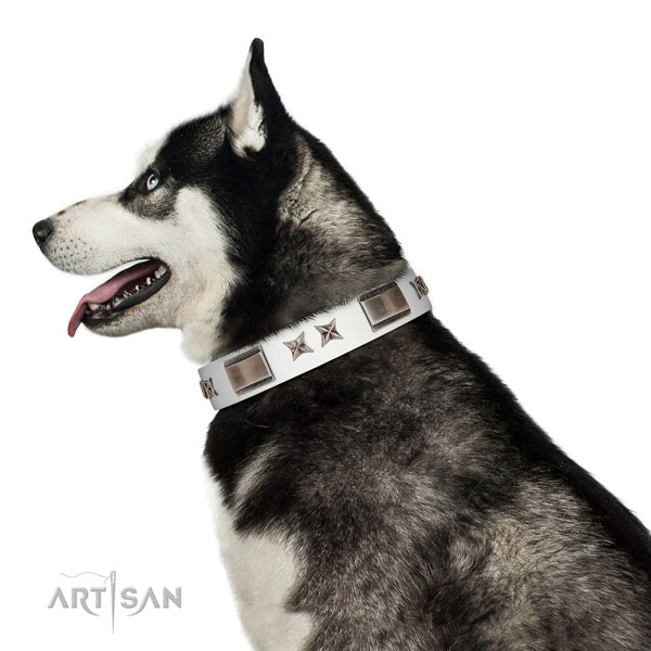 Easy wearing collar of full grain genuine leather for your stylish dog
