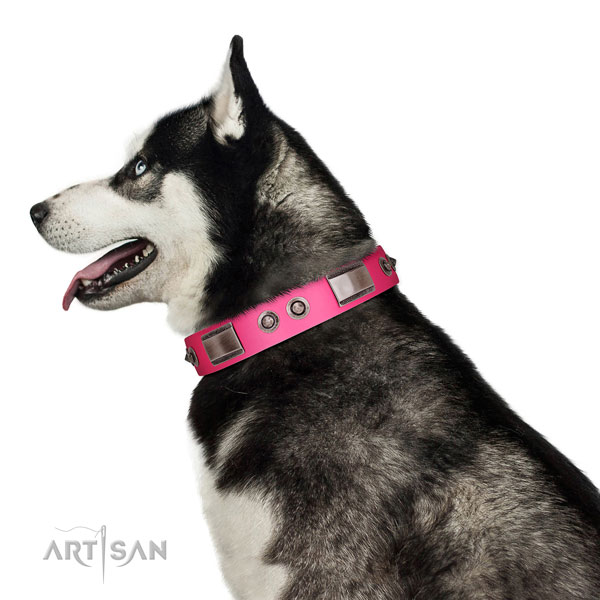 Exquisite full grain genuine leather dog collar with studs
