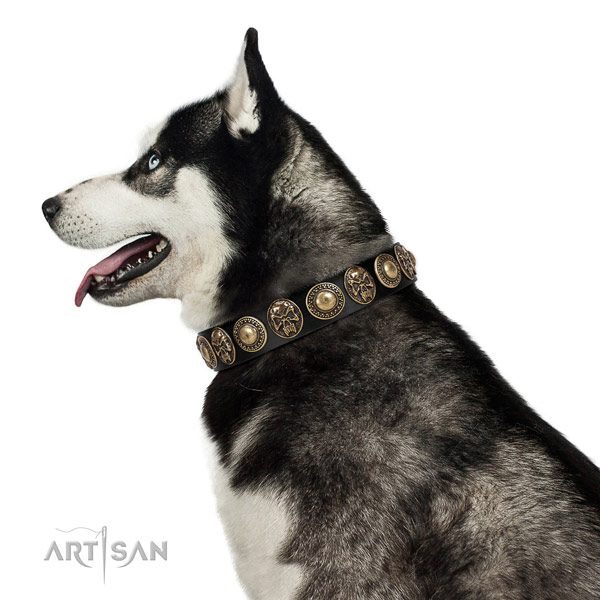 Best quality full grain natural leather collar for your stylish dog