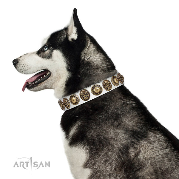 Embellished full grain natural leather collar for your beautiful four-legged friend