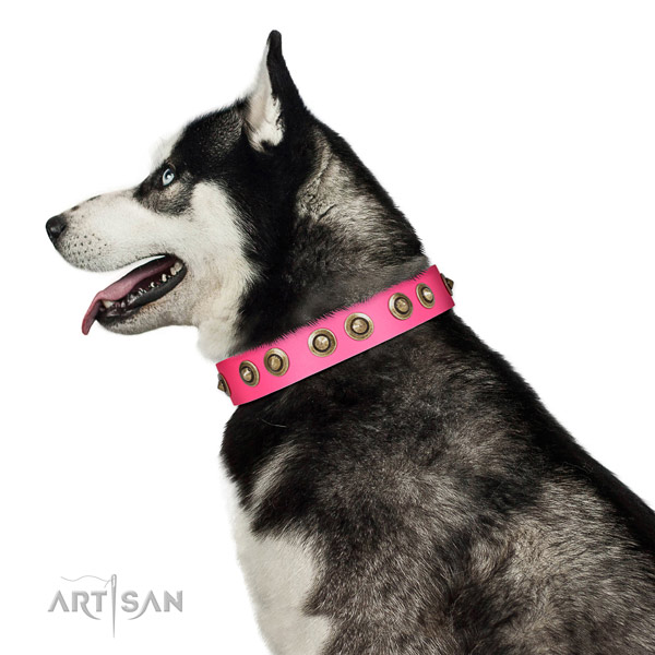 Leather collar with adornments for your impressive doggie