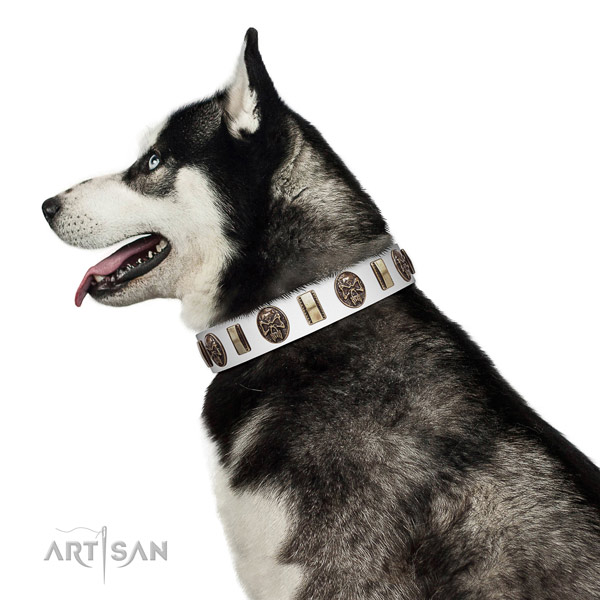 Full grain natural leather dog collar with inimitable adornments