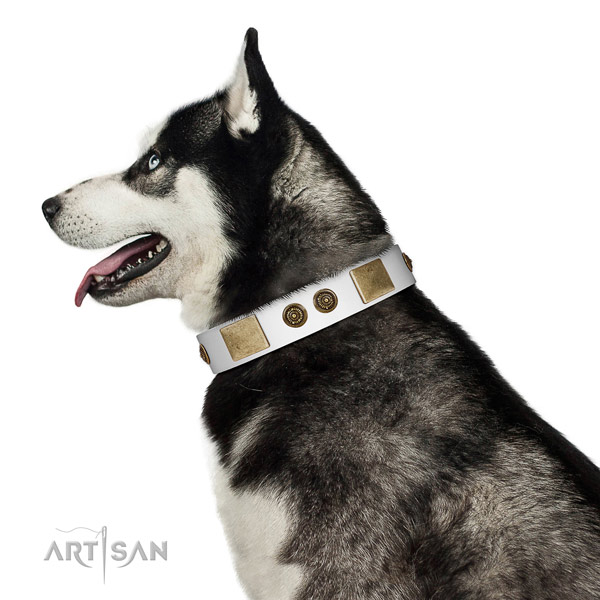 Adorned dog collar handcrafted for your lovely dog
