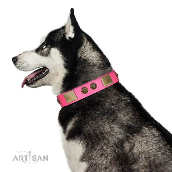 Inimitable dog collar created for your handsome four-legged friend