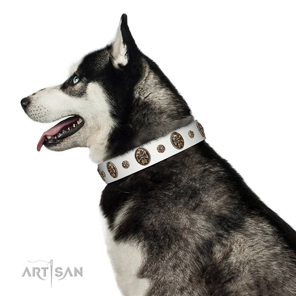Comfortable wearing dog collar of genuine leather with remarkable adornments