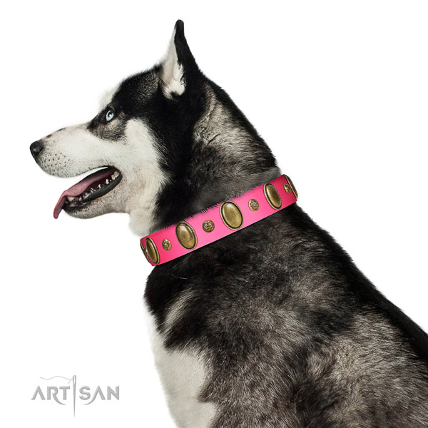 Everyday walking reliable leather dog collar with studs