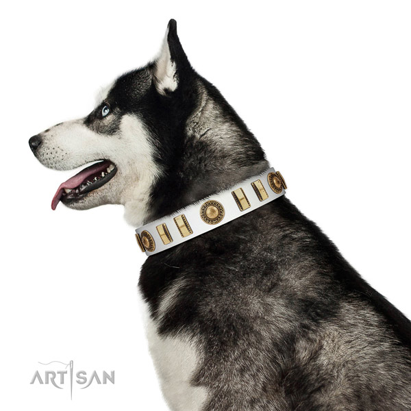 Adjustable leather dog collar with rust-proof hardware