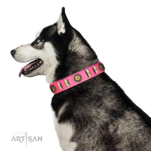 Fine quality full grain natural leather dog collar with strong hardware