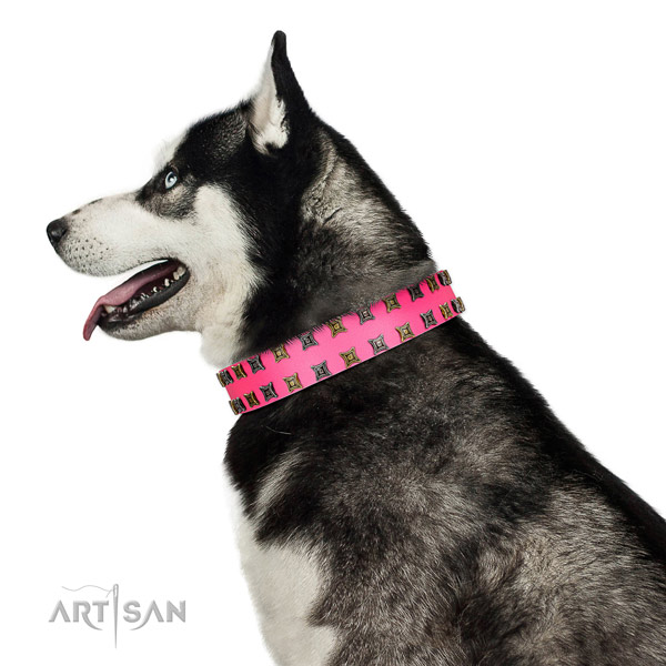 Strong genuine leather dog collar with decorations for your doggie